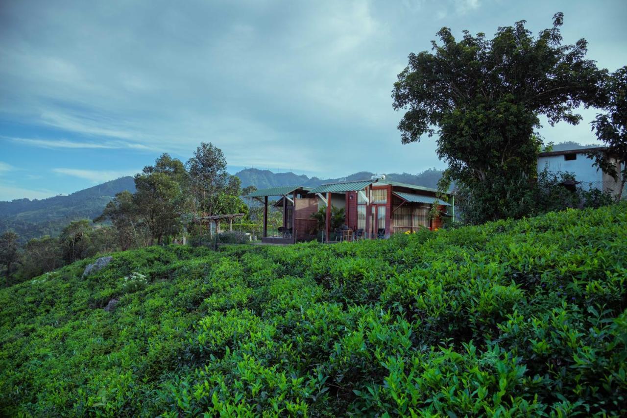 Cool Mount Resort Ella Exterior foto